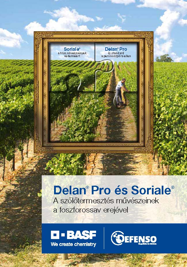 Delan® Pro és Soriale® A szőlőtermesztés művészeinek a foszforossav erejével